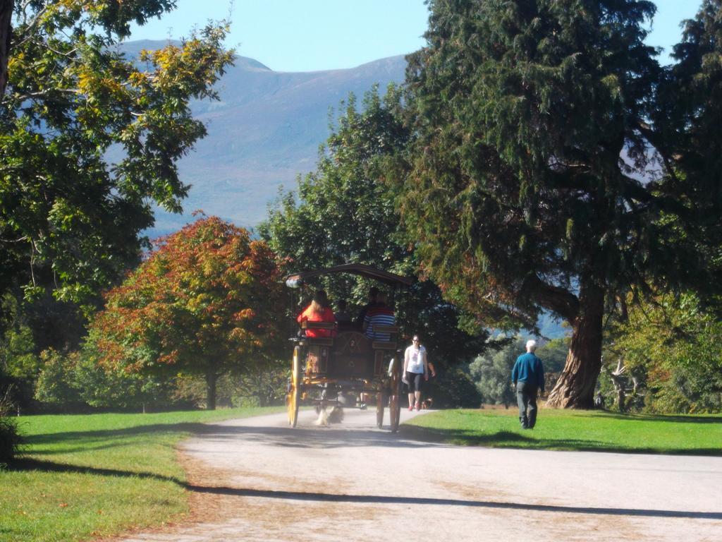 No 1 Killarney Holiday Village Vacation Home Rum bild