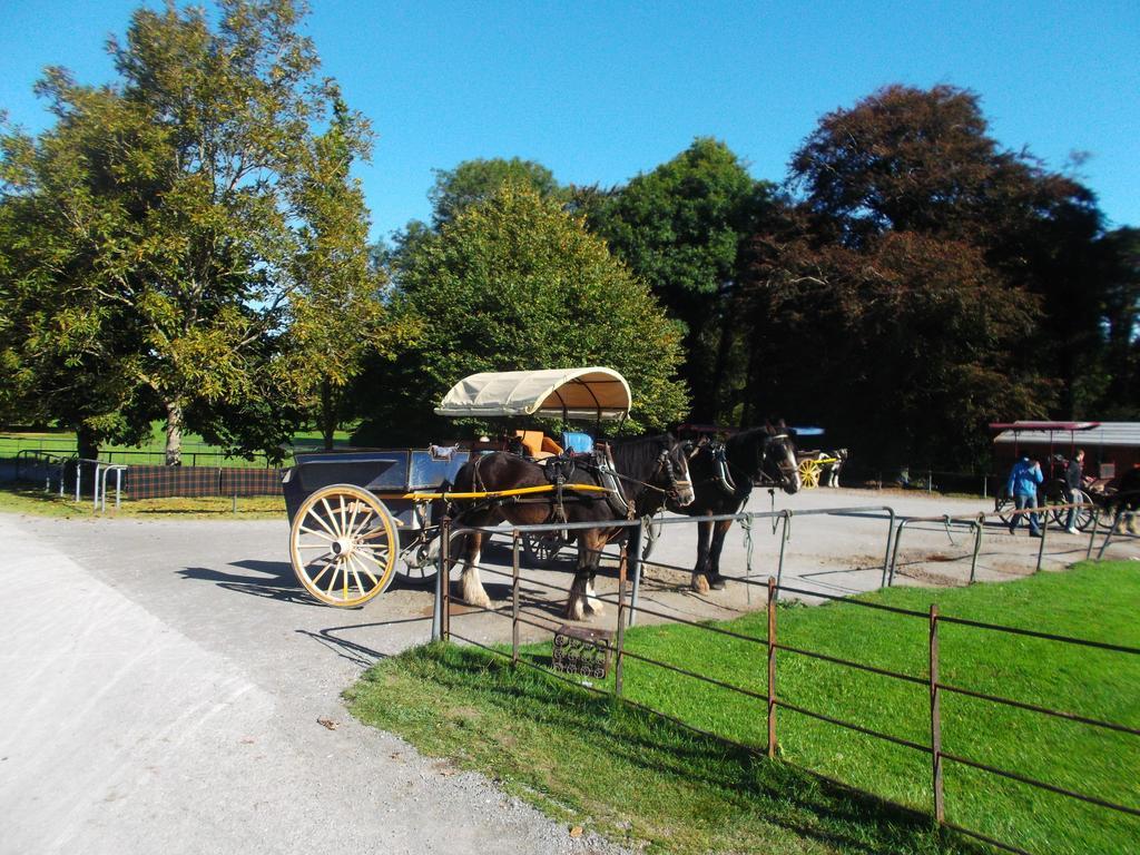 No 1 Killarney Holiday Village Vacation Home Rum bild